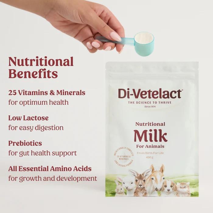 Divetelact 375g - Image 4
