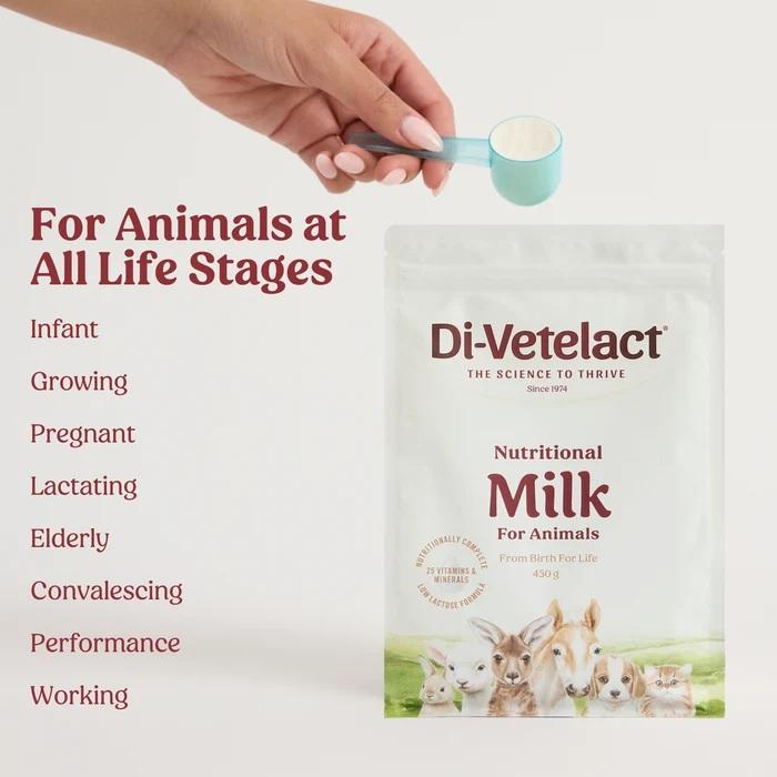 Divetelact 375g - Image 5