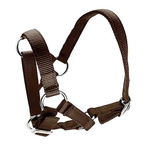 Alpaca Halters At Premium Stockfeeds