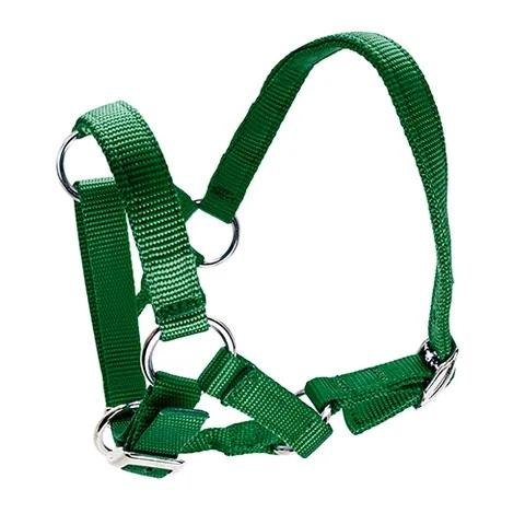 Alpaca Halter - Image 3