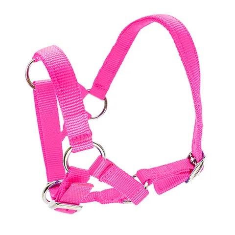Alpaca Halter - Image 4
