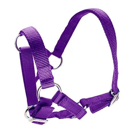 Alpaca Halter - Image 6