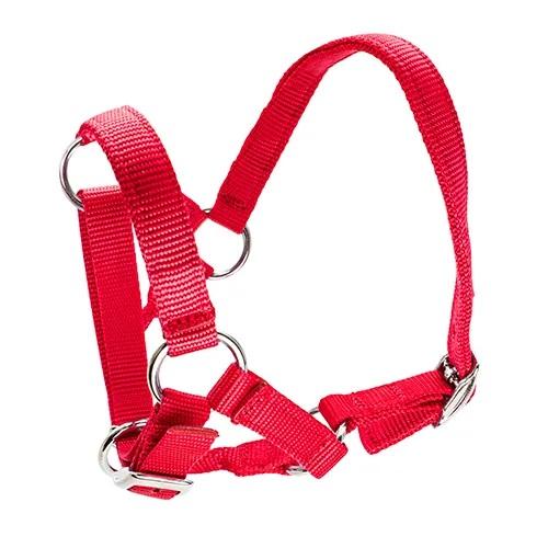 Alpaca Halter - Image 7