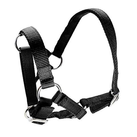 Alpaca Halter - Image 5
