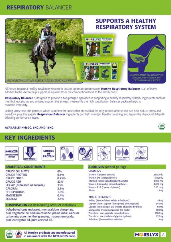 Horslyx Respiratory Stable Vit & Mineral Lick 5kg - Image 2