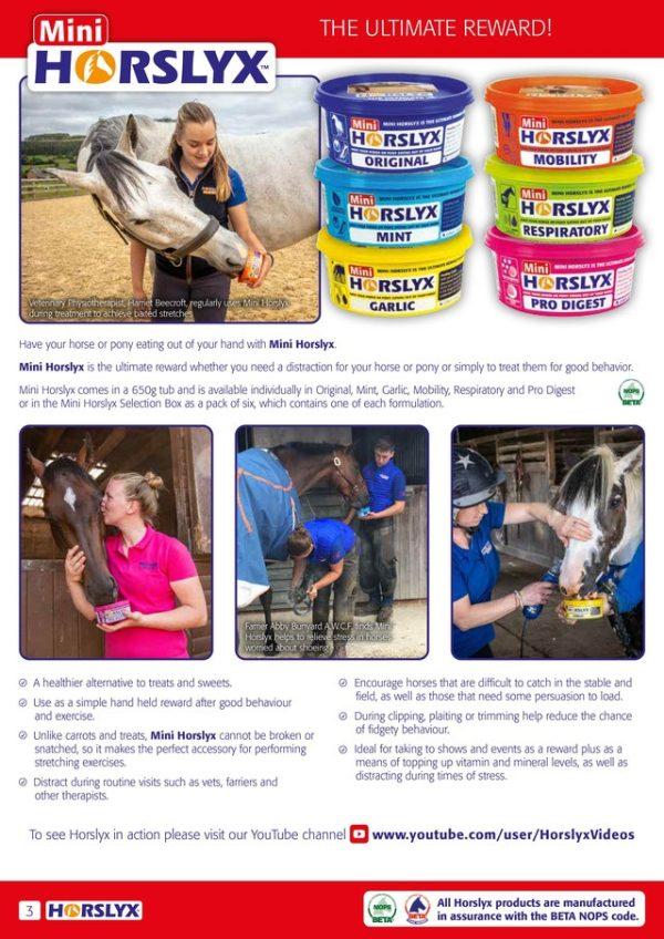 Horslyx MINT Mini Vit & Mineral Lick 650g - Image 2
