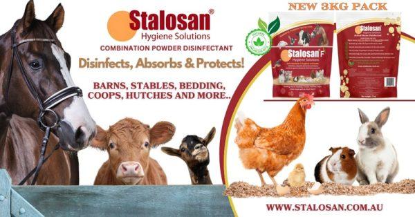 QFS Stalosan F 3kg - Image 3