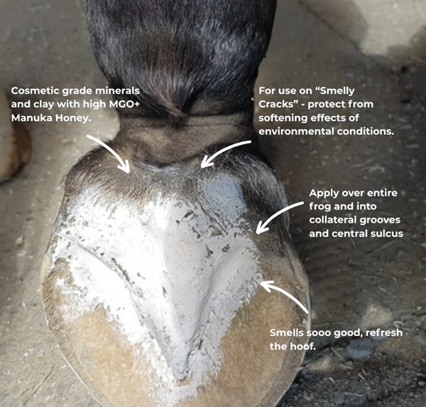 The Hoof Co Hoof Pack for a Smelly Crack 400gm - Image 5