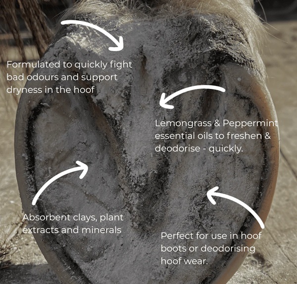 The Hoof Co Hoof Powder 200gm - Image 4