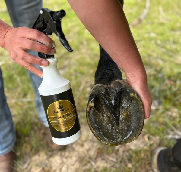 The Hoof Co Hoof Spray 500gm - Image 2
