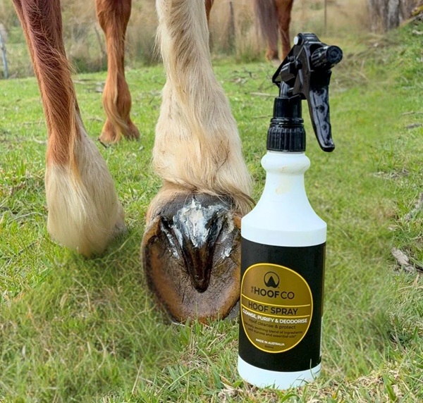 The Hoof Co Hoof Spray 500gm - Image 4