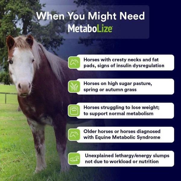 Poseidon MetaboLize 180gm - Image 2