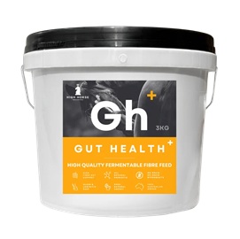 Premium Stockfeeds High Horse Gut Health 3kg Bucket