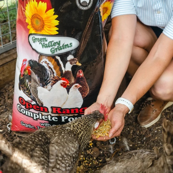 Green Valley Open Range Complete Poultry Mix 20kg - Image 2